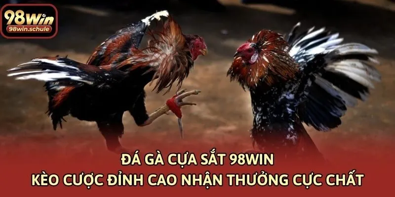 Đá Gà Cựa Sắt 98win – Kèo Cược Đỉnh Cao Nhận Thưởng Cực Chất