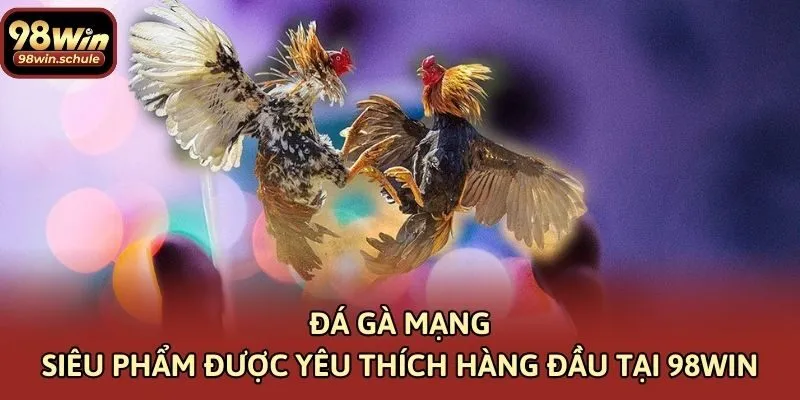 Đá Gà Mạng – Siêu Phẩm Được Yêu Thích Hàng Đầu Tại 98win