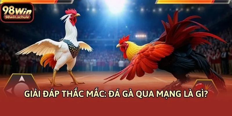 Giải đáp thắc mắc: Đá gà qua mạng là gì?