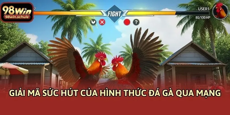 Giải mã sức hút của hình thức đá gà qua mạng