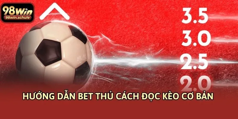 Hướng dẫn bet thủ cách đọc kèo cơ bản 