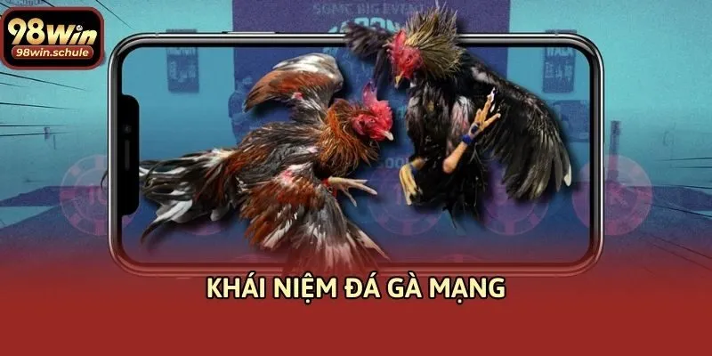 Khái niệm đá gà mạng