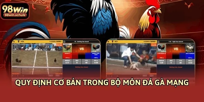 Quy định cơ bản trong bộ môn đá gà mạng