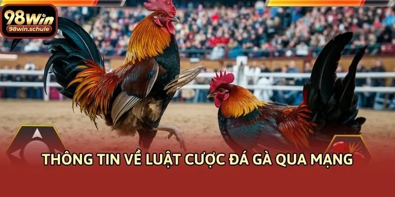 Thông tin về luật cược đá gà qua mạng